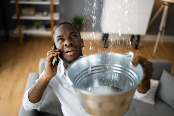 Best Sewage cleanup and water damage restoration  in Crouch Mesa, NM