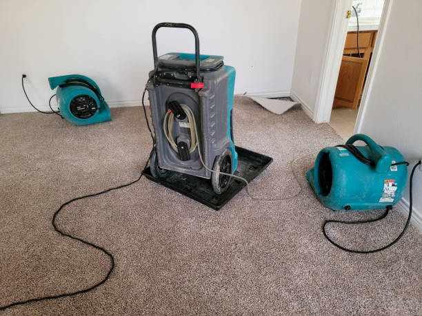 Best Commercial water damage restoration  in Crouch Mesa, NM