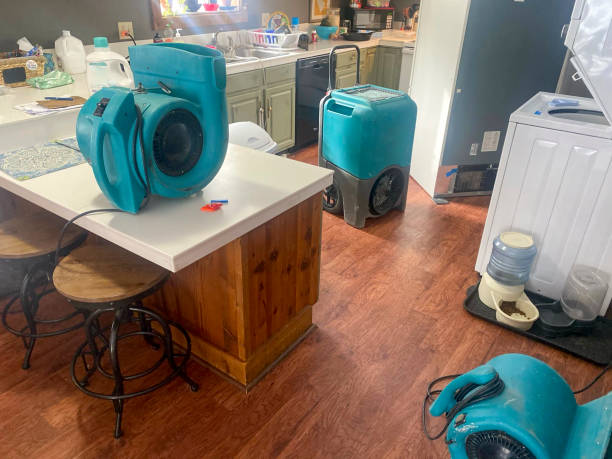 24/7 water damage repair in NM