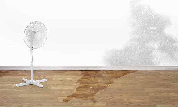Best 24/7 water damage repair  in Crouch Mesa, NM