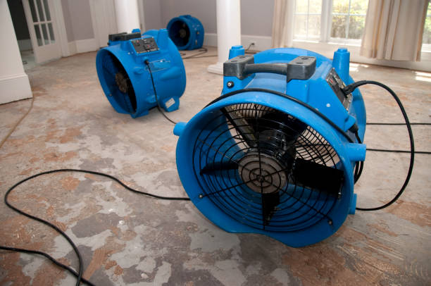 Best Mold removal after water damage  in Crouch Mesa, NM