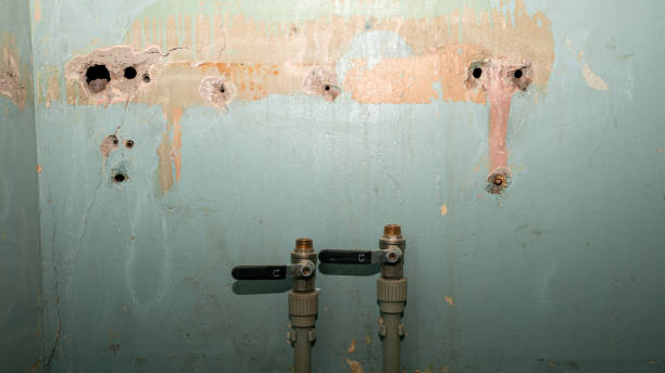 Best Carpet water damage restoration  in Crouch Mesa, NM