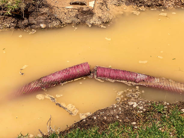 Best Flooded house restoration  in Crouch Mesa, NM