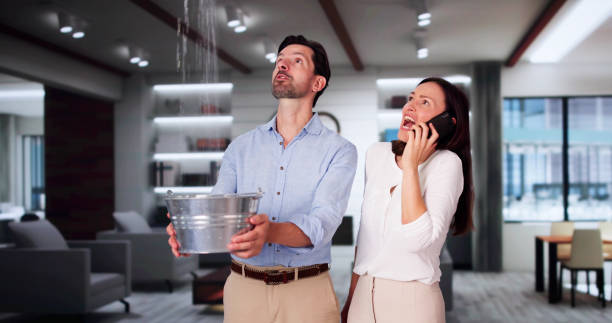 Best Professional water damage repair  in Crouch Mesa, NM