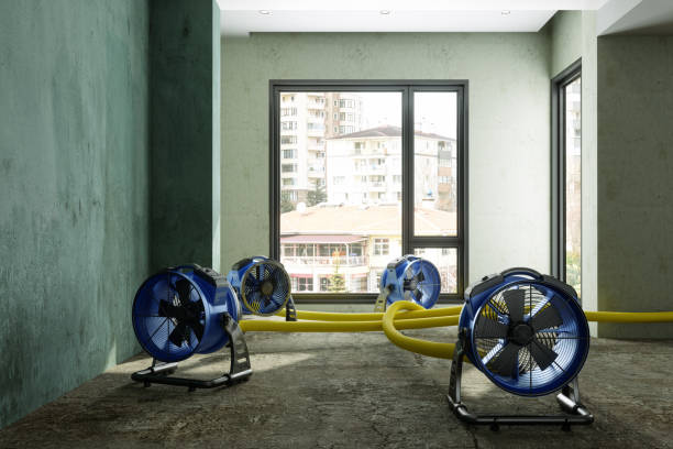 Best Mold removal after water damage  in Crouch Mesa, NM